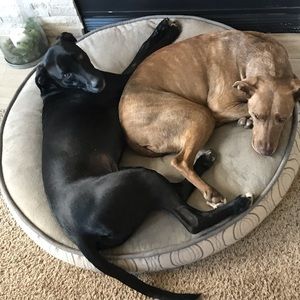 Meet your Posher, Sandra